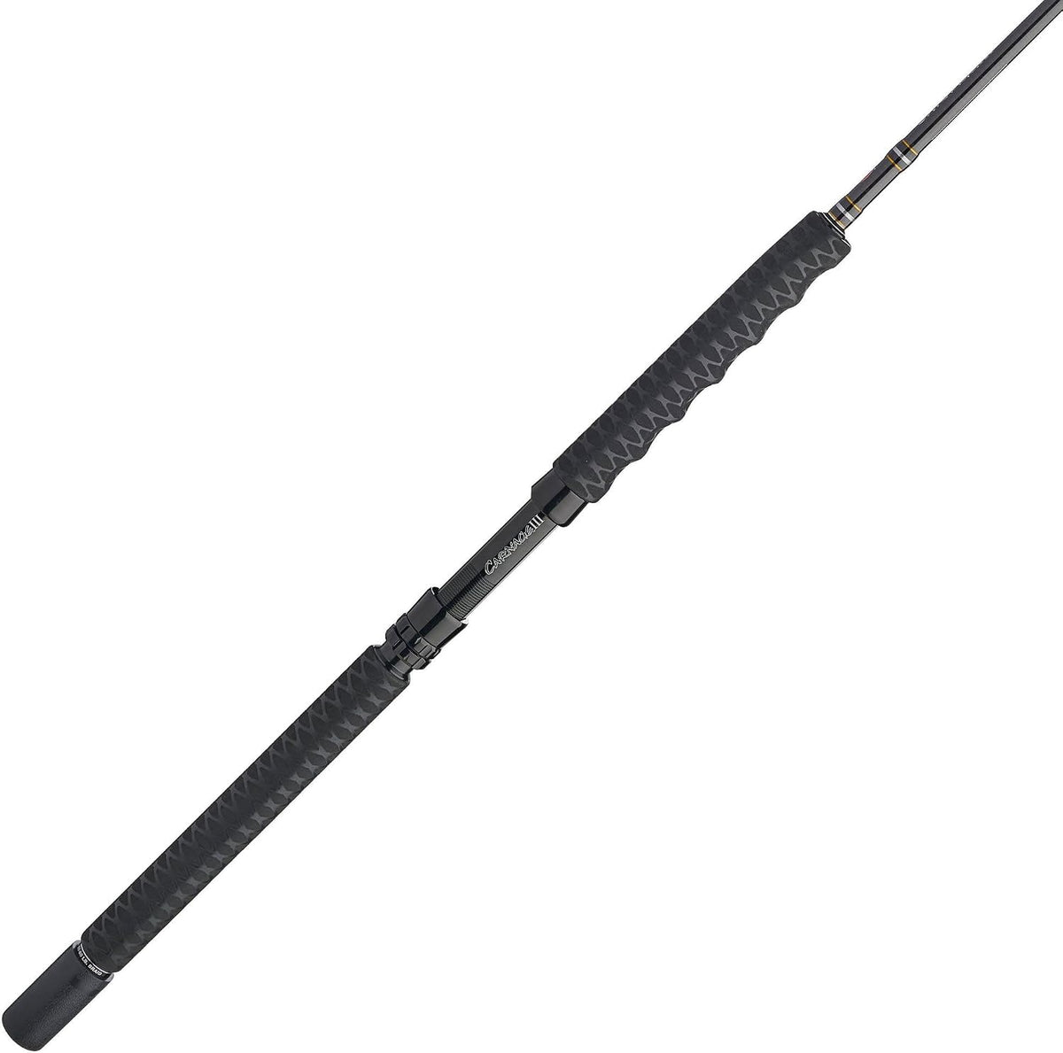 PENN CARBWIII-C Carnage III Boat Conventional Rods
