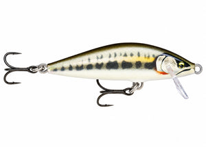 Gilded Minnow / 55