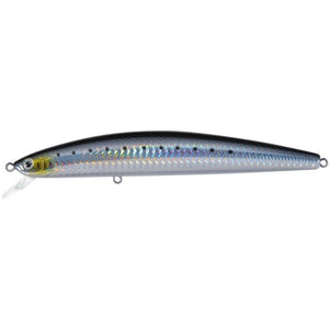 01 - Laser Sardine / 6"