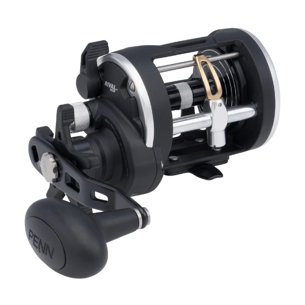 Penn RIV20LW Rival Level Wind 20 sz Reel, 2 Brg, 5.1:1