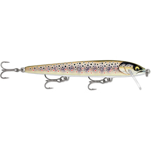 Gilded Brown Trout / 120
