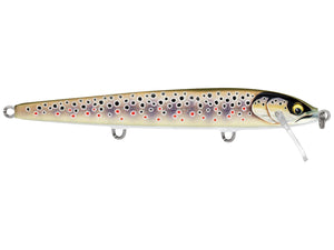 Gilded Brown Trout / 85