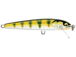 Gilded Yellow Perch / 85