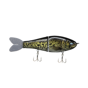 Crappie