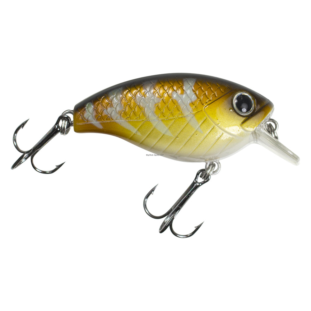 Lunkerhunt Impact Shock 2.5F - Squarebill