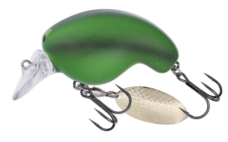 Daiwa Mr Fortune 01