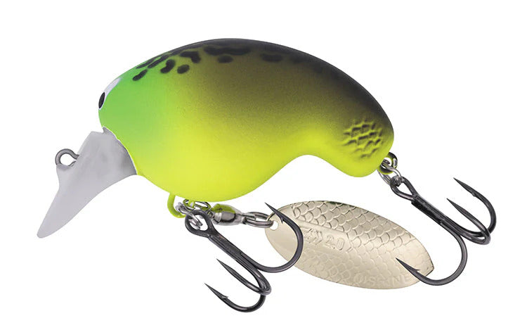 Daiwa Mr Fortune 01