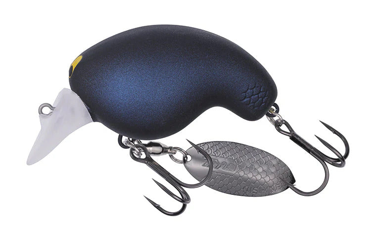 Daiwa Mr Fortune 01