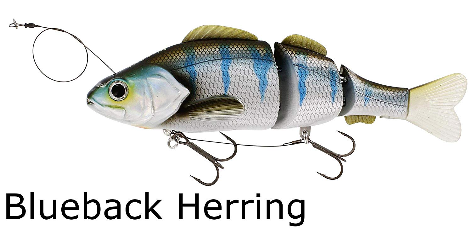 Westin Percy the Perch Jointed (HL) Inline Hard Lure