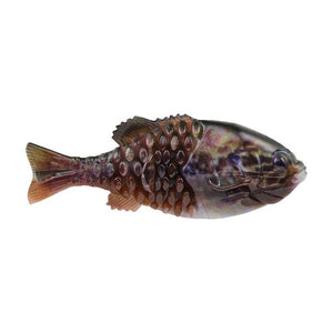 HD Warmouth / 5.33"