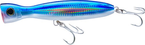 Blue Back / 7 1/2"