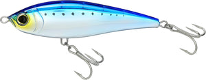 Sardine