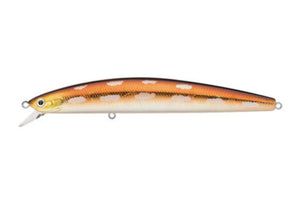 50 - Cannibal Calico / 6"
