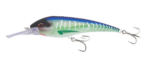 Spanish Mackerel