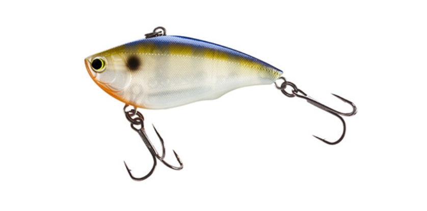 Leland's Trout Magnet Crank Brook Trout; 2 1/2 in.