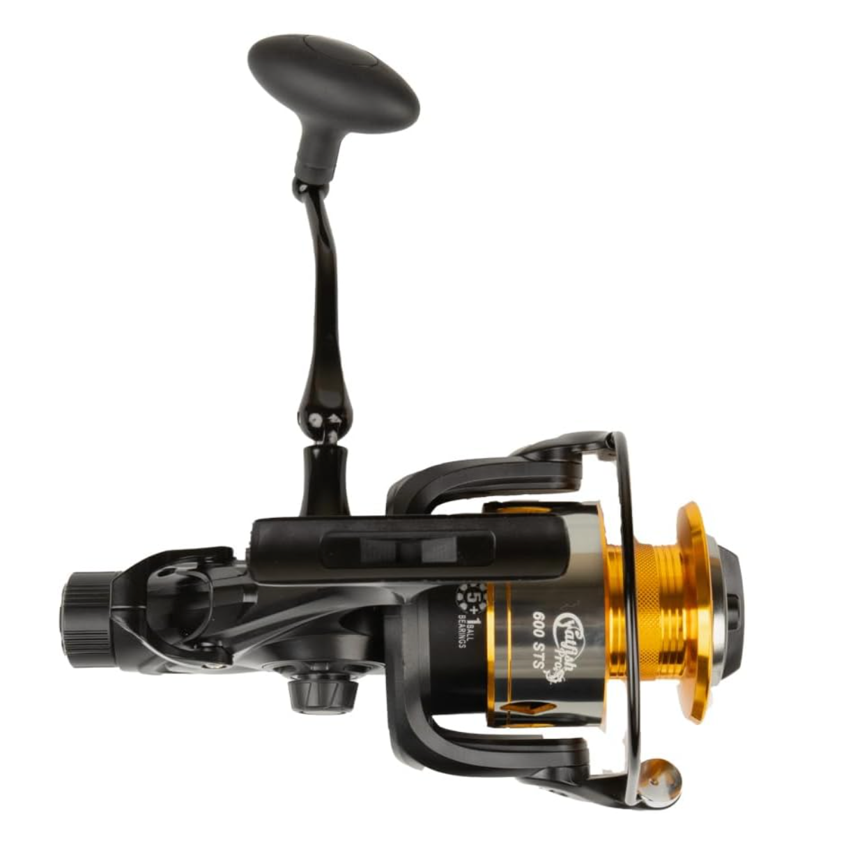 Fishing Reels with Line Left Right Hand Reel Lever Drag Fishing Reel Smooth  Powerful 22lb 5.2:1 for Freshwater Saltwater 