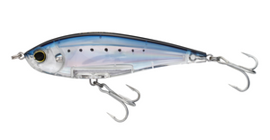 Sardine / 4.37"