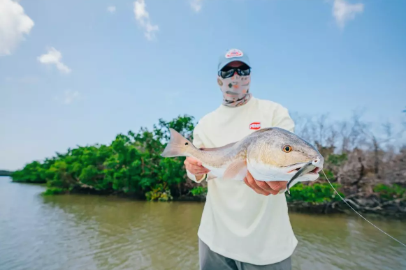 Berkley Gulp Saltwater Paddleshad (6", 3pk, Assorted Colors)