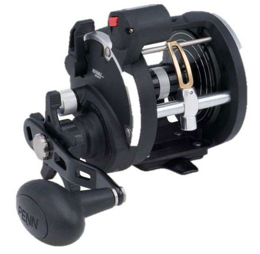 Penn RIV20LWLC Rival Level Wind 20 sz Line Counter Reel, 2 Brg, 5.1:1