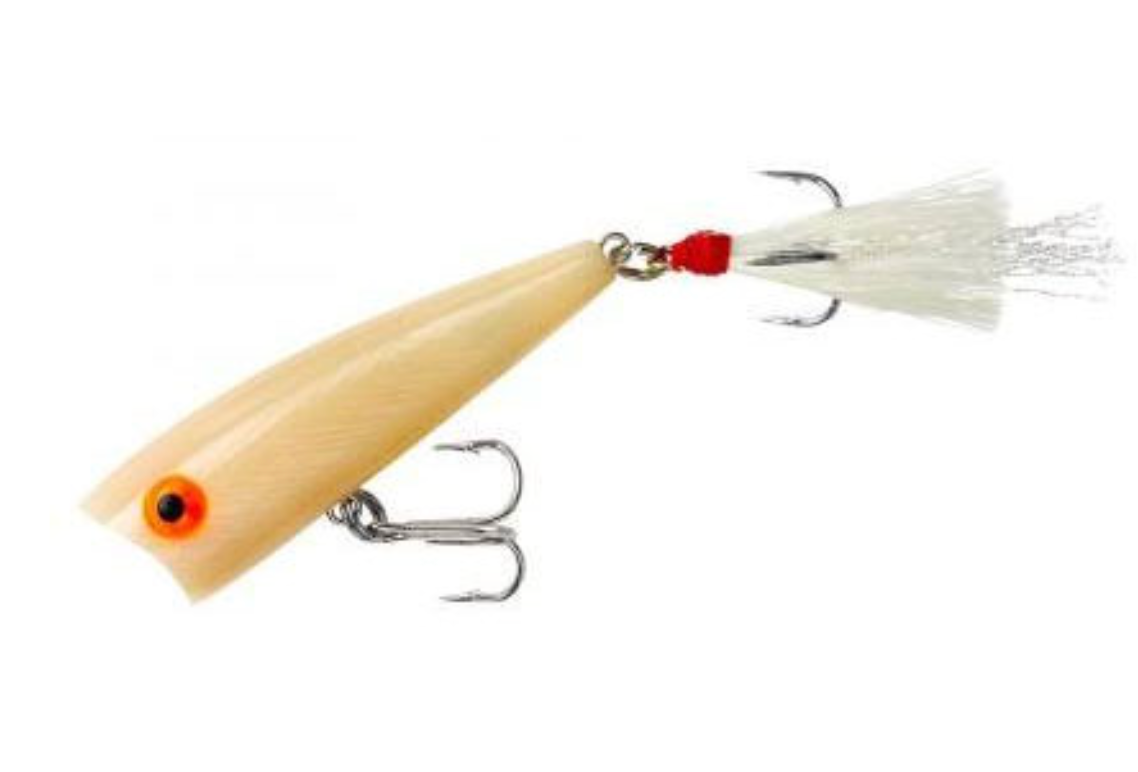 Rebel Pop-R Topwater Popper