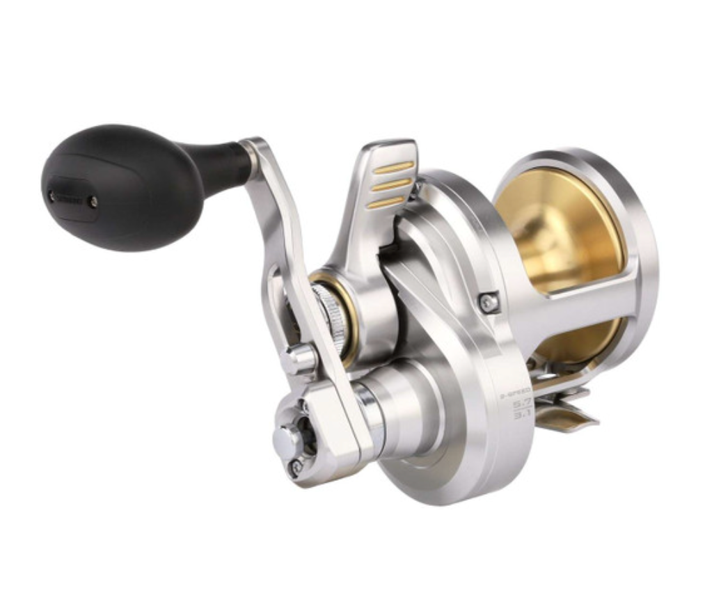 Shimano SpeedMaster 2 Speed Lever Drag Saltwater Fishing Reel