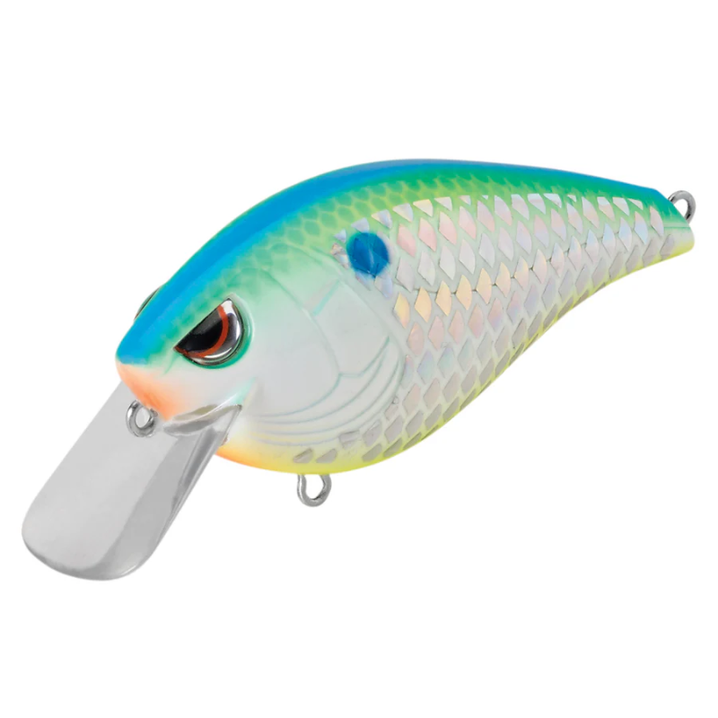 Spro Hunter 65 SB Shallow Diving Crankbait