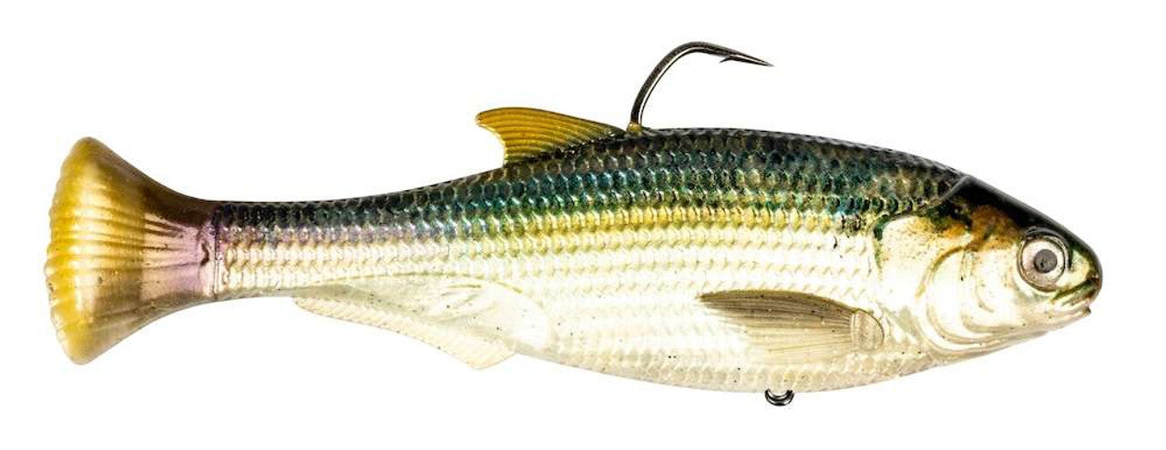 Z-Man Shadtron Lt 6" Fast Sink Blueback Herring