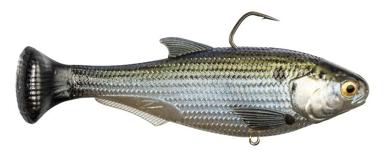 Z-Man Shadtron Lt 6" Slow Sink Mossback