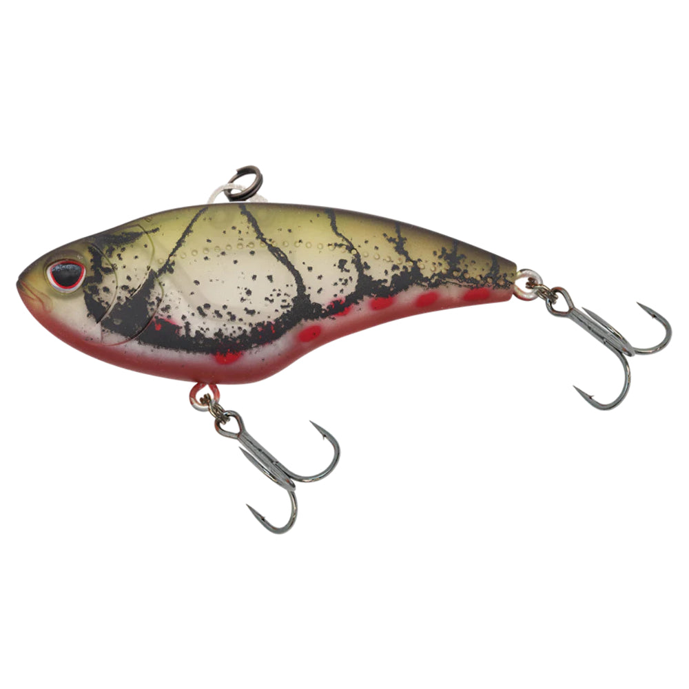 Nomad Swimtrex Max Vibe