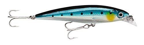 Rapala X-Rap Saltwater SXR10 Fishing Lure, 4" (Assorted Colors)