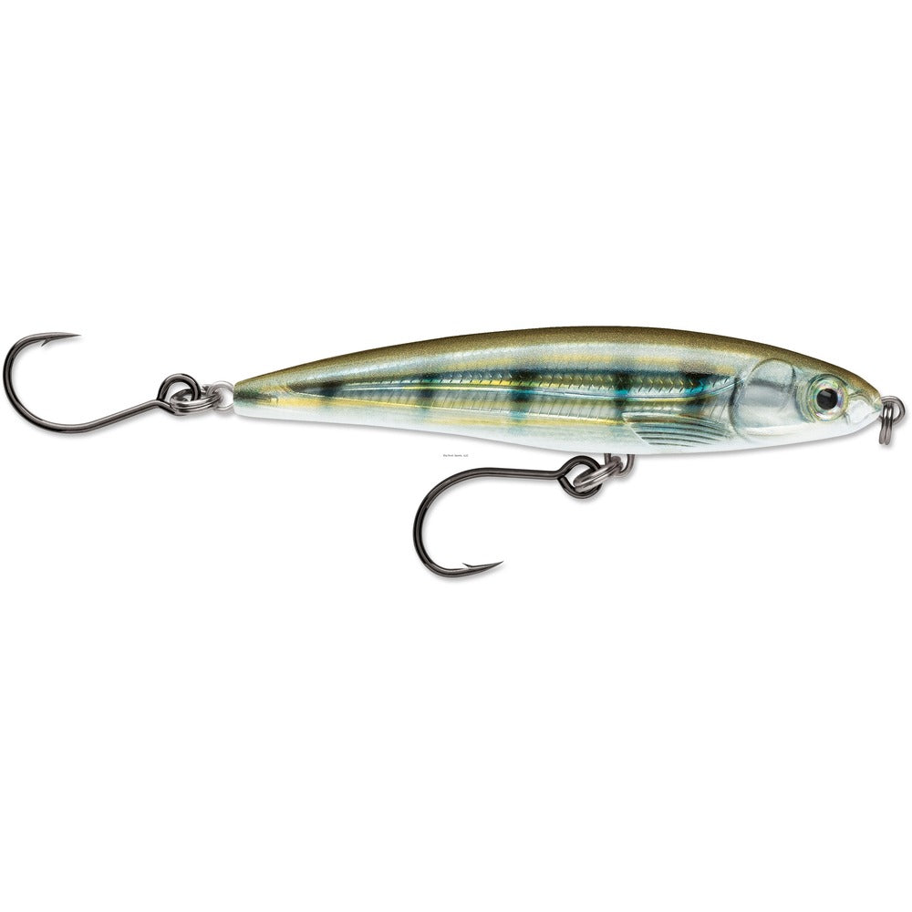 Rapala X-Rap Saltwater SXR10 Fishing Lure, 4" (Assorted Colors)