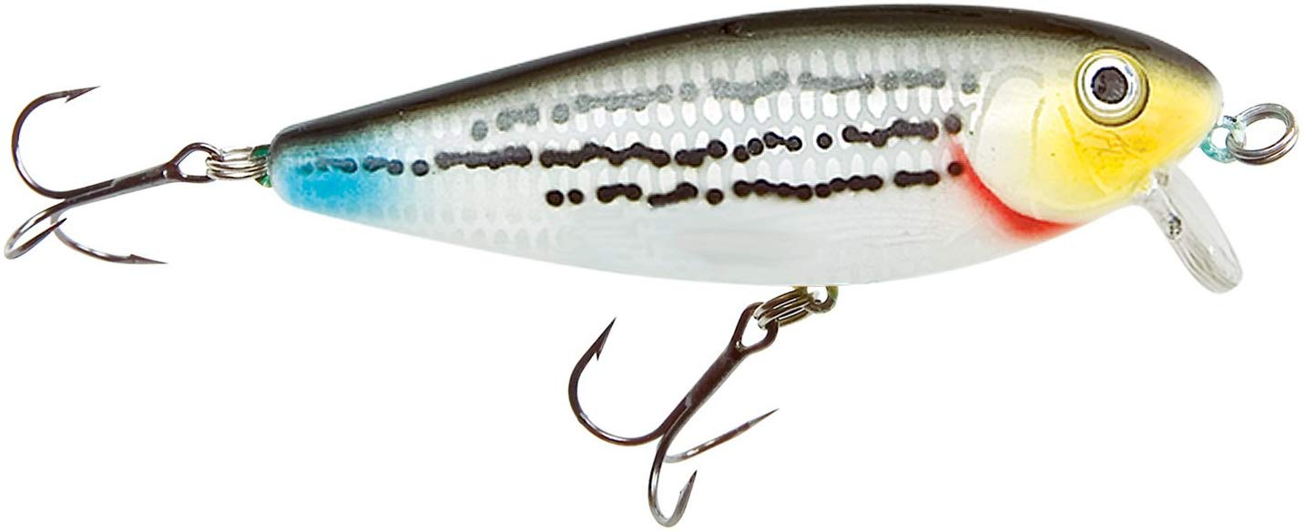 Heddon Saltwater Swim'n Image Fishing Lure, 3-Inch, 7/16 Ounce, Striped Mullet