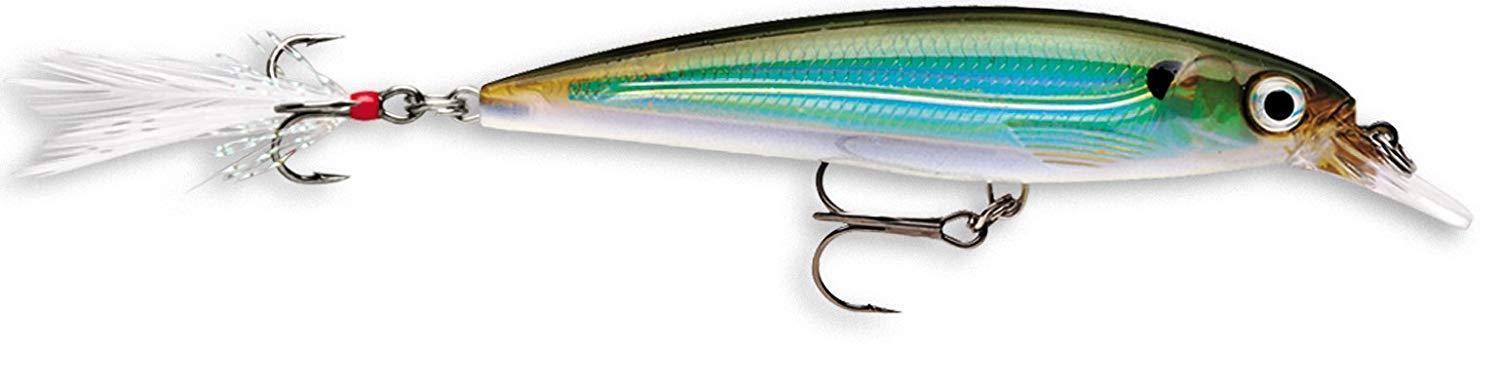 Rapala X-Rap XR-10 Suspending Jerkbait Lure (4", 7/16oz, Assorted Colors)