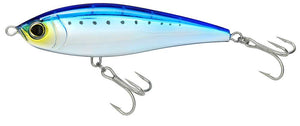Sardine / 6" / 2 5/8oz