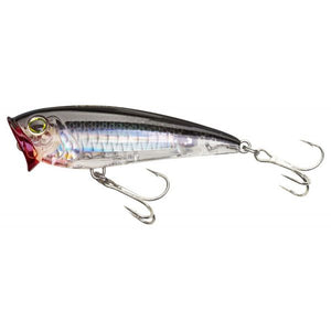 Silver Back / 3 1/2"